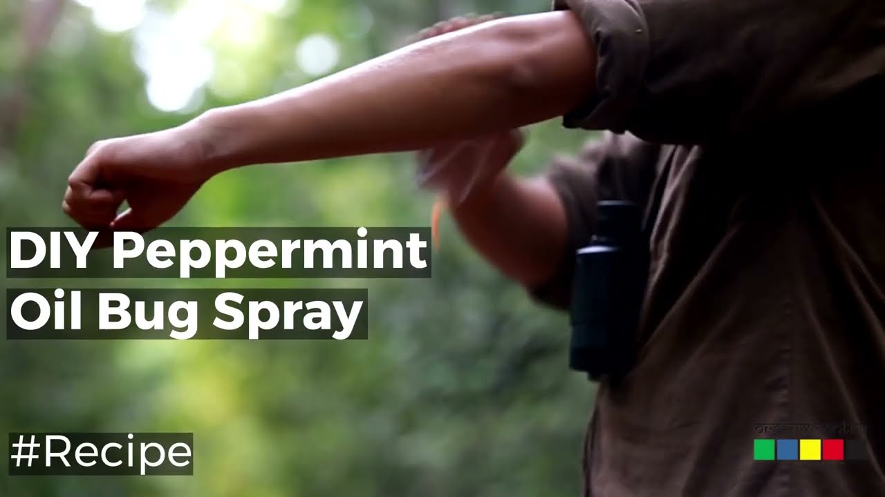 Natural Peppermint Oil Plant Bug Spray