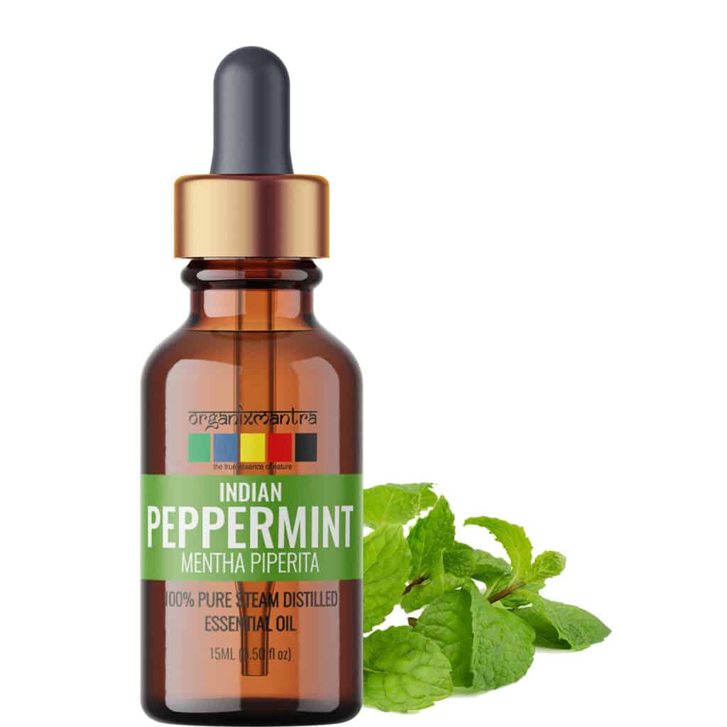 Natural Peppermint Oil Plant Bug Spray 1 Indian Peppermint Essential Oil