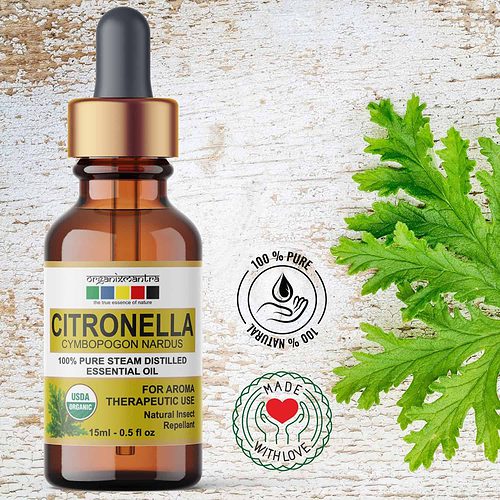 Citronella Essential Oil, Organic Pure Natural Essential Oils