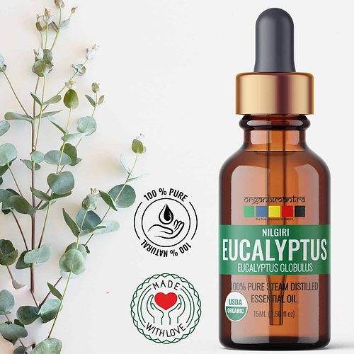 Eucalyptus Essential Oil, Organic Pure Natural Essential Oils