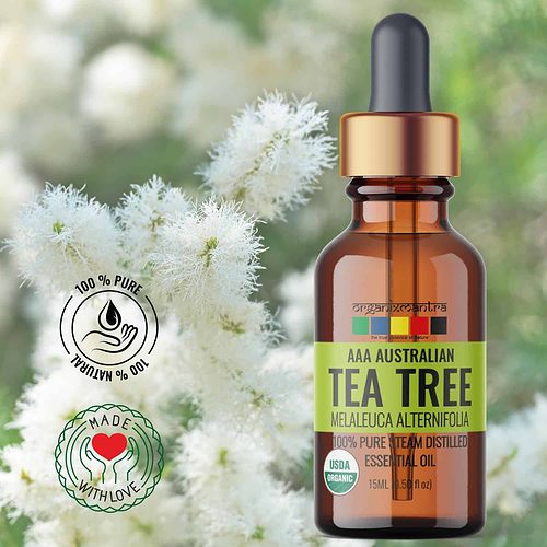 Australian Tea Tree Essential Oil, Organic Pure Natural Essential Oils