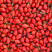 Rosehip Oil