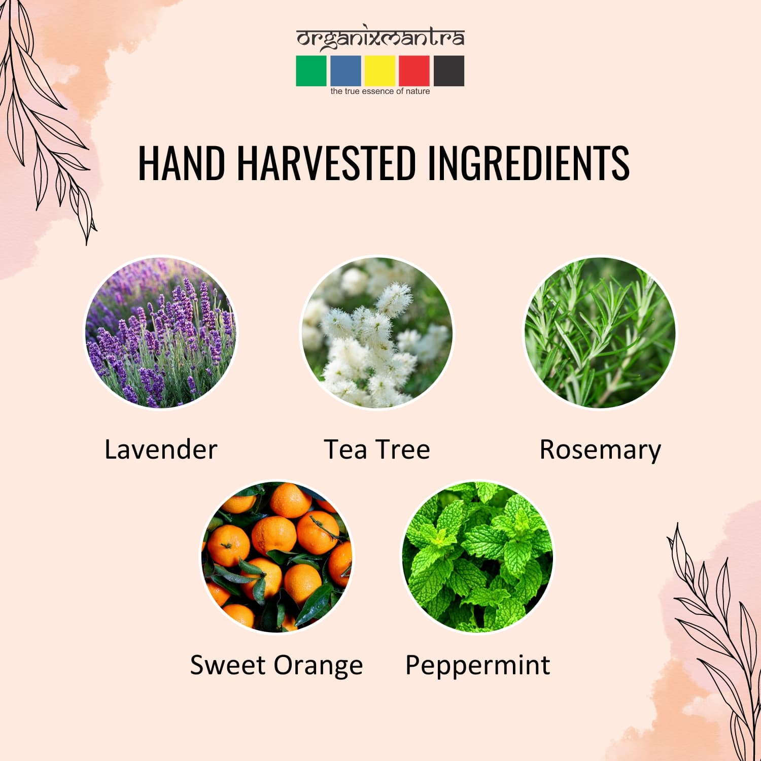 essential oil for all skin type