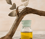 Jojoba Oil