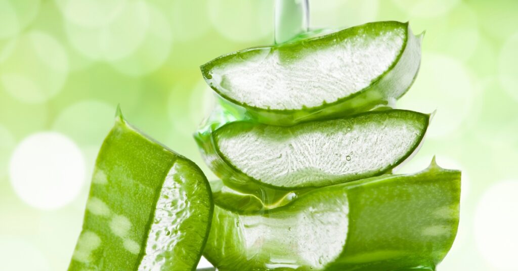 11 Ayurvedic Superstars for Modern Skin Issues 2 aloe vera extract for skin care